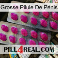 Grosse Pilule De Pénis 10